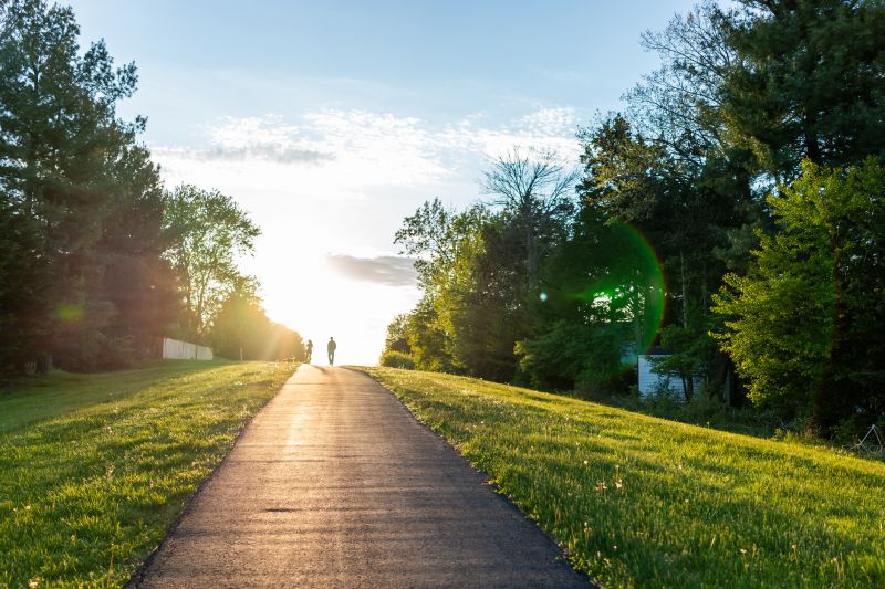 Full-Service Landscaping Companies